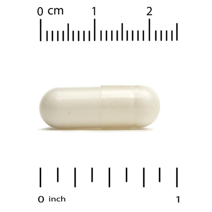 Sport, Creatine, 750 Mg, 240 Veggie Capsules